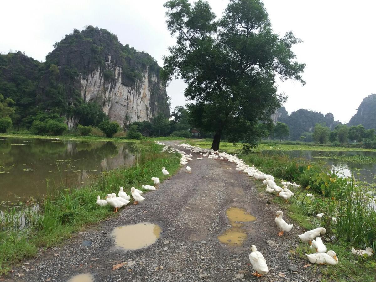 Tam Coc Vinh Thinh Homestay Ninh Bình Ngoại thất bức ảnh