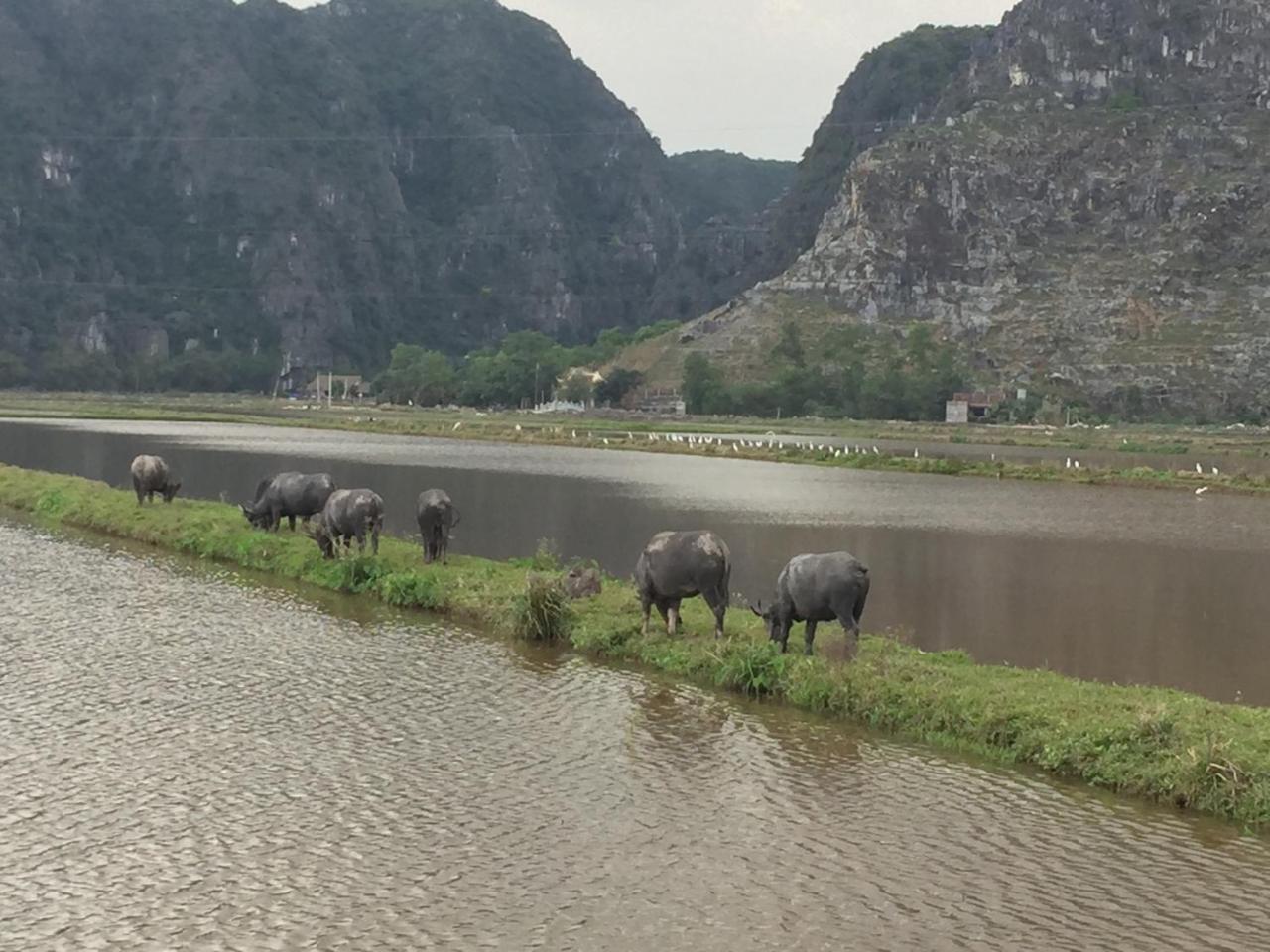 Tam Coc Vinh Thinh Homestay Ninh Bình Ngoại thất bức ảnh