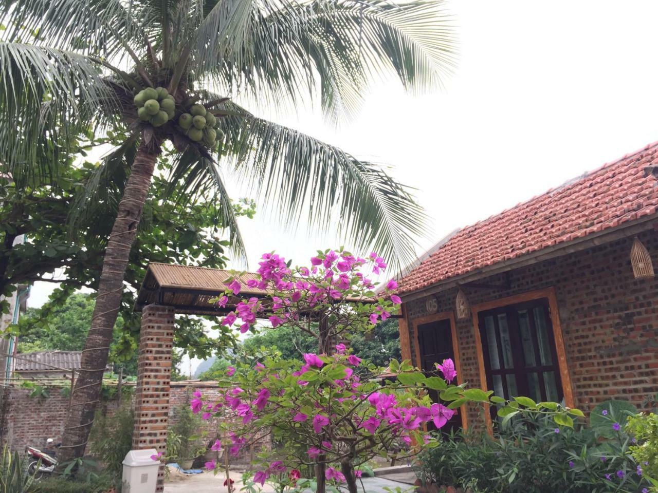 Tam Coc Vinh Thinh Homestay Ninh Bình Ngoại thất bức ảnh