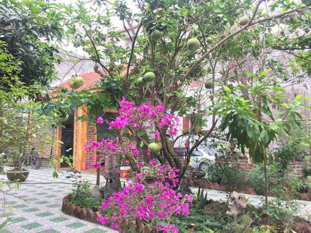 Tam Coc Vinh Thinh Homestay Ninh Bình Ngoại thất bức ảnh