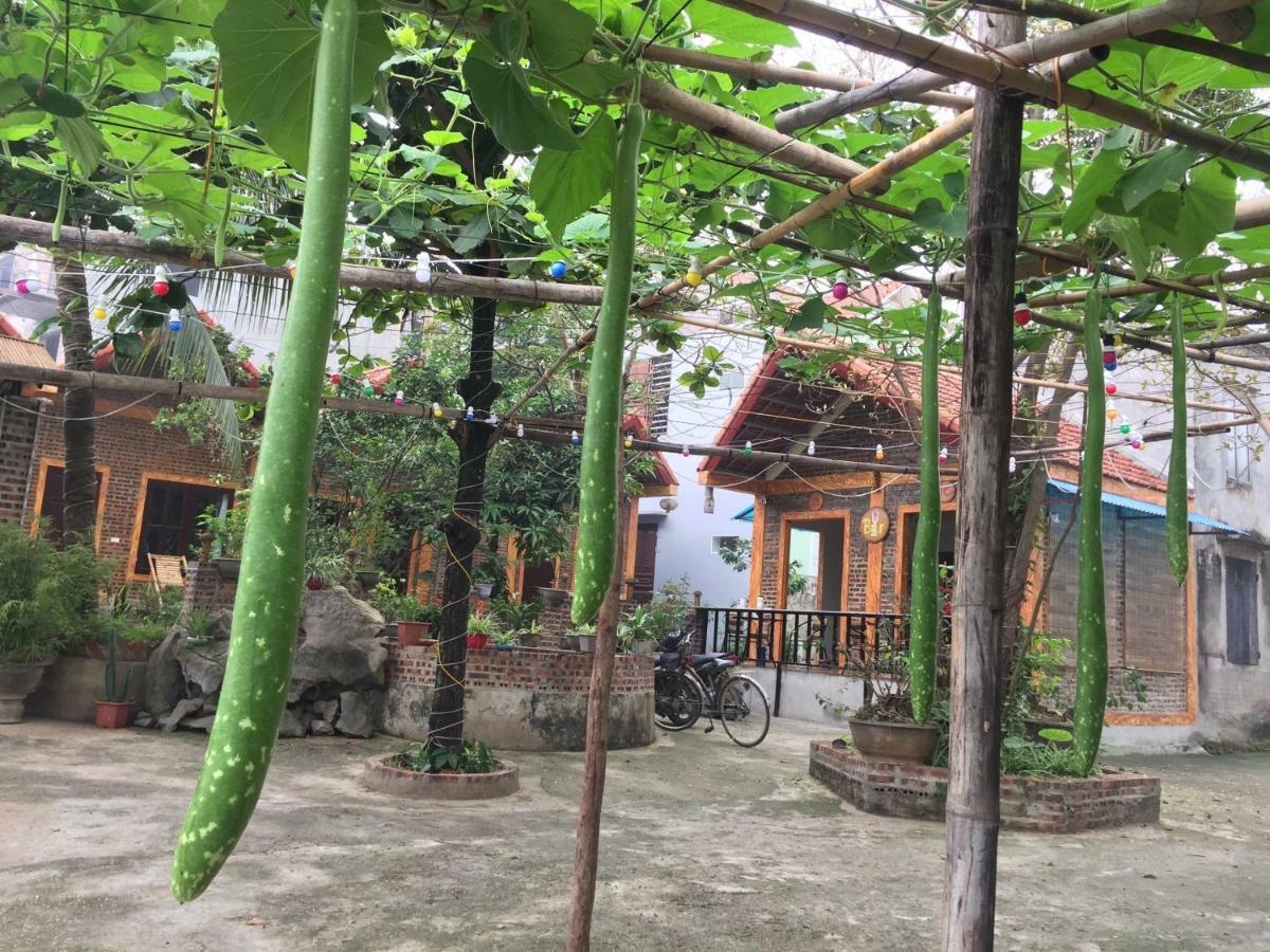 Tam Coc Vinh Thinh Homestay Ninh Bình Ngoại thất bức ảnh