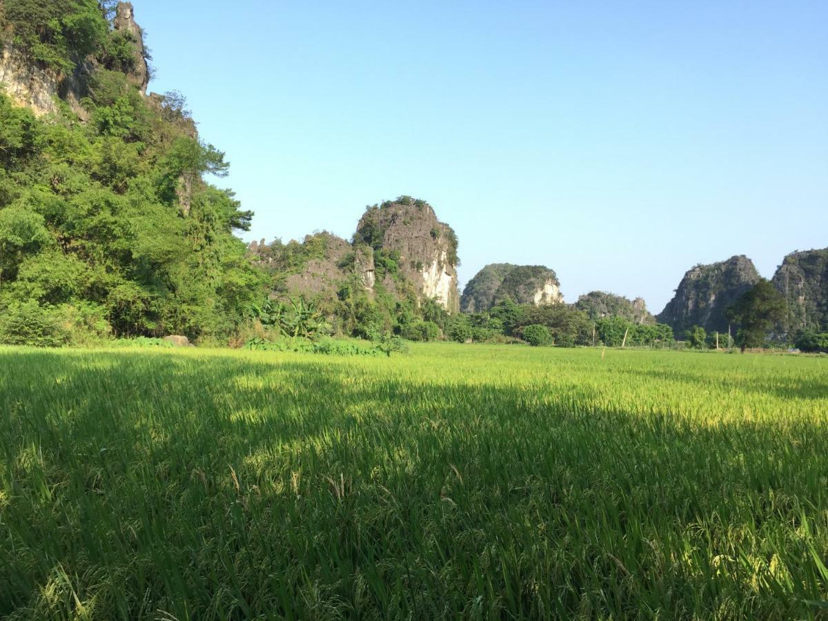 Tam Coc Vinh Thinh Homestay Ninh Bình Ngoại thất bức ảnh