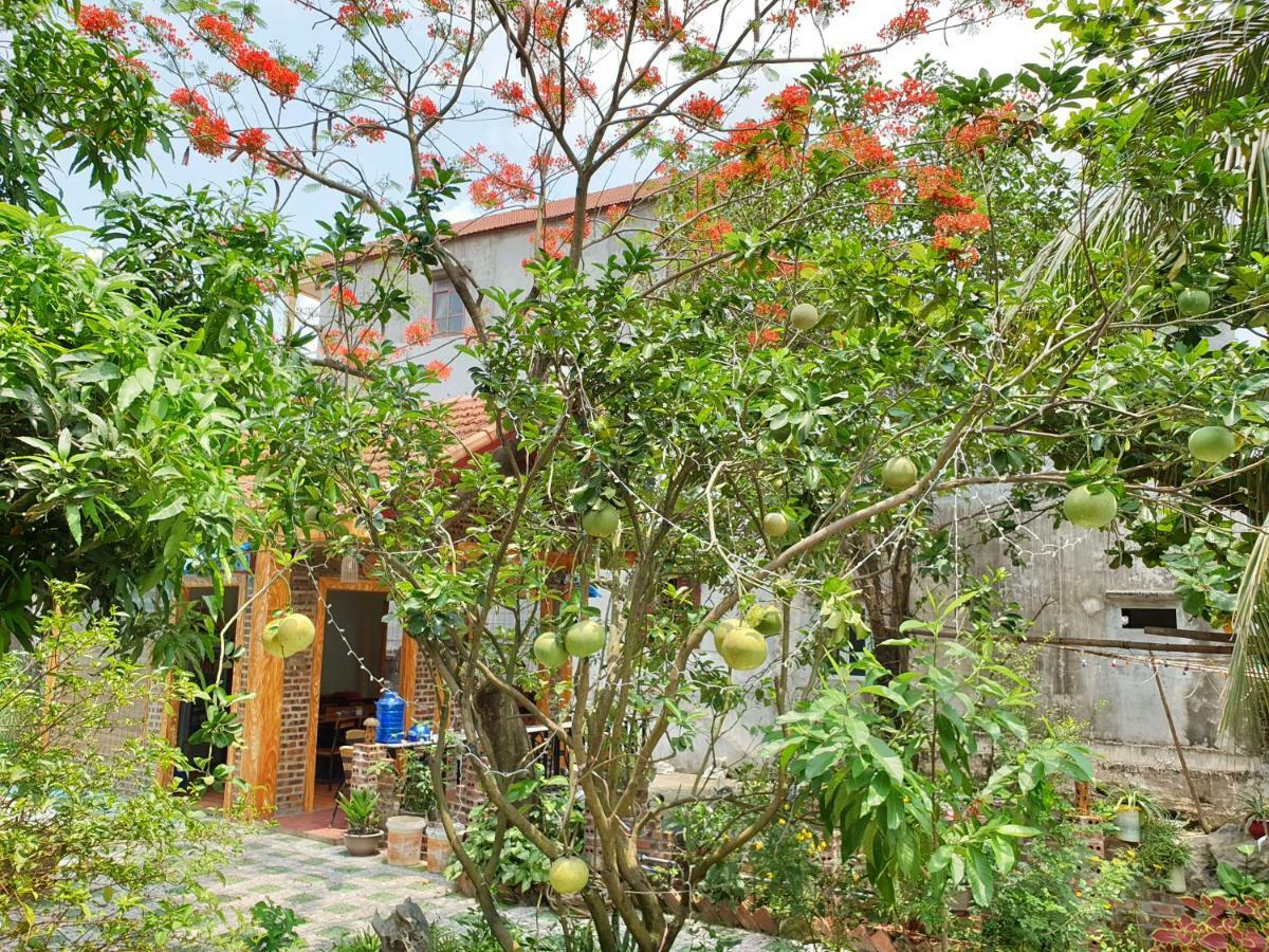 Tam Coc Vinh Thinh Homestay Ninh Bình Ngoại thất bức ảnh